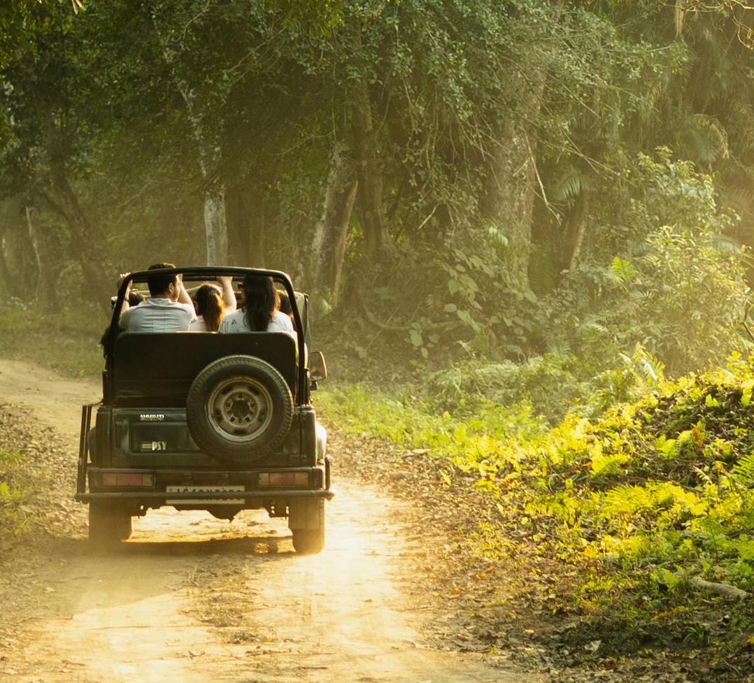 Keoladeo 1 Night 2 Days Tour Package